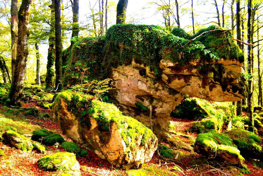 La Aldaia De Urbasa Villa Eulate Buitenkant foto