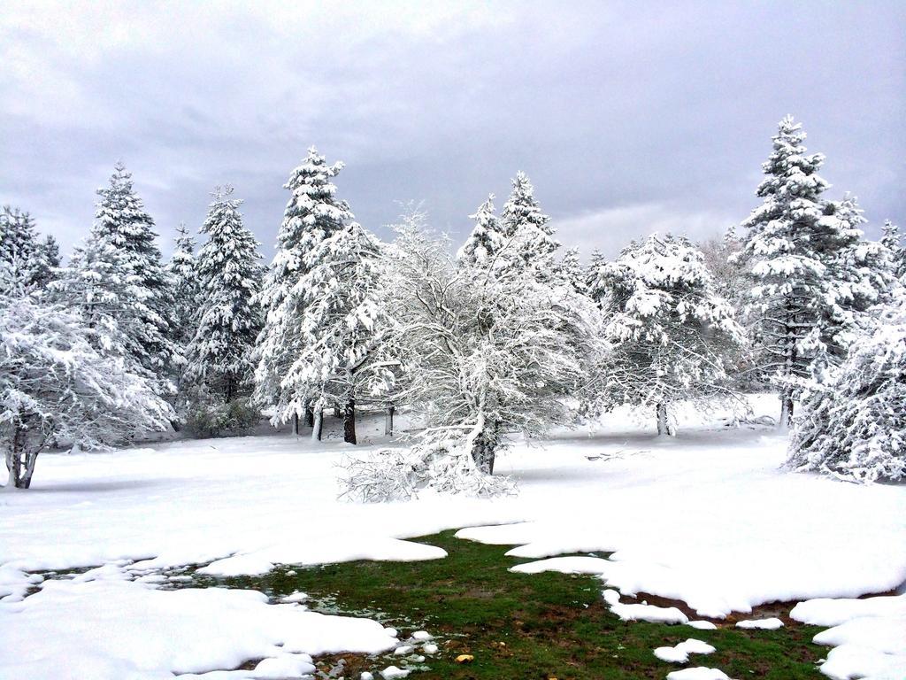 La Aldaia De Urbasa Villa Eulate Buitenkant foto