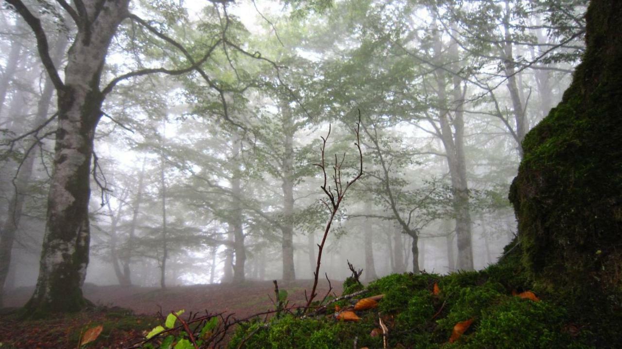 La Aldaia De Urbasa Villa Eulate Buitenkant foto